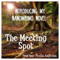 Introducing My NaNoWriMo Novel