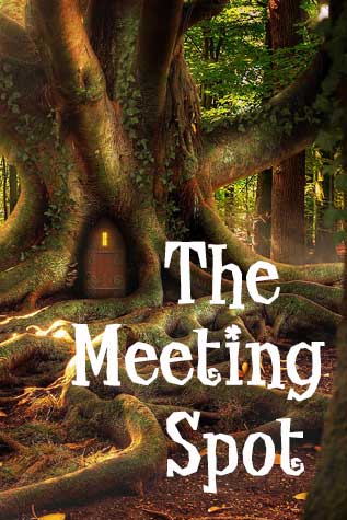 the_meeting_spot